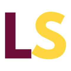 Logo de Lovesexshop
